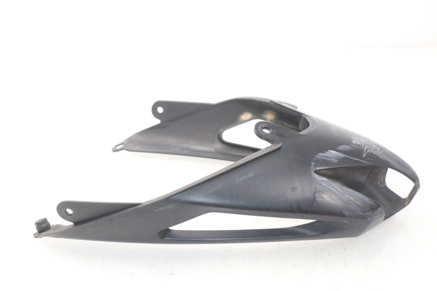 photo de OSŁONA TYLNA MV AGUSTA BRUTALE R WALLY 910 (2008 - 2008) - Widok główny