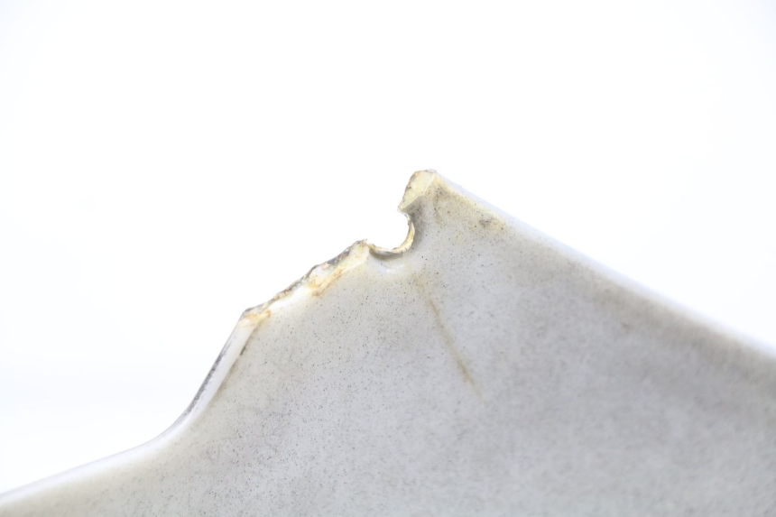 photo de OSŁONA TYLNA YAMAHA BW'S NAKED 50 (2008 - 2019) - Inny kąt widzenia