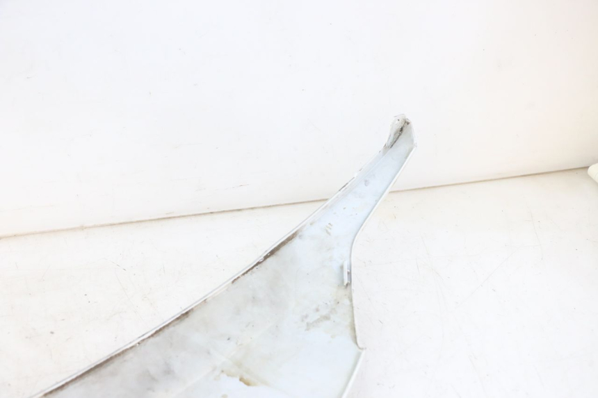 photo de OSŁONA TYLNA SYM FIDDLE 3 III 125 (2014 - 2020) - Widok z bliska