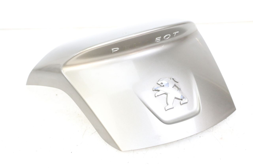 photo de OSŁONA TYLNA PEUGEOT SATELIS 125 (2013 - 2018) - Widok główny