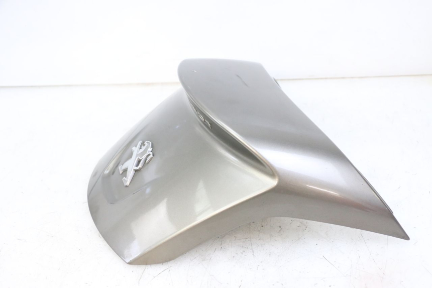 photo de OSŁONA TYLNA PEUGEOT SATELIS 125 (2013 - 2018) - Widok ogólny