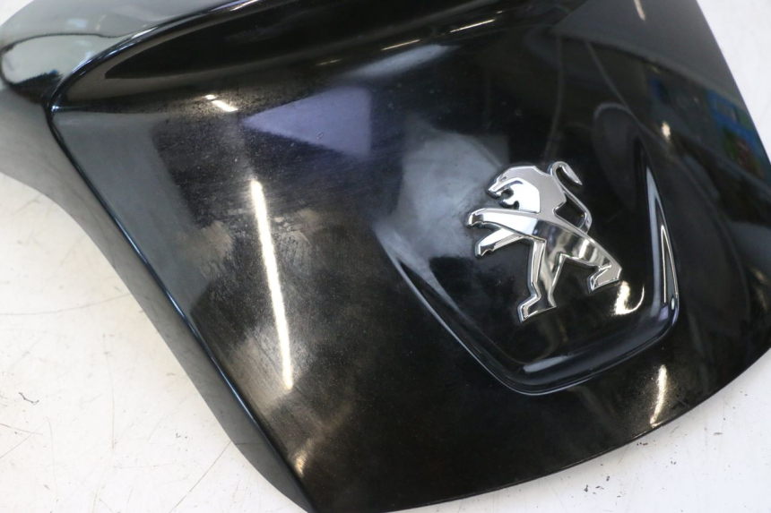 photo de OSŁONA TYLNA PEUGEOT SATELIS 125 (2013 - 2018) - Zoom stanu zużycia