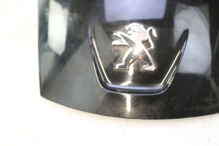 photo de OSŁONA TYLNA PEUGEOT SATELIS 125 (2013 - 2018) - Stan powierzchni
