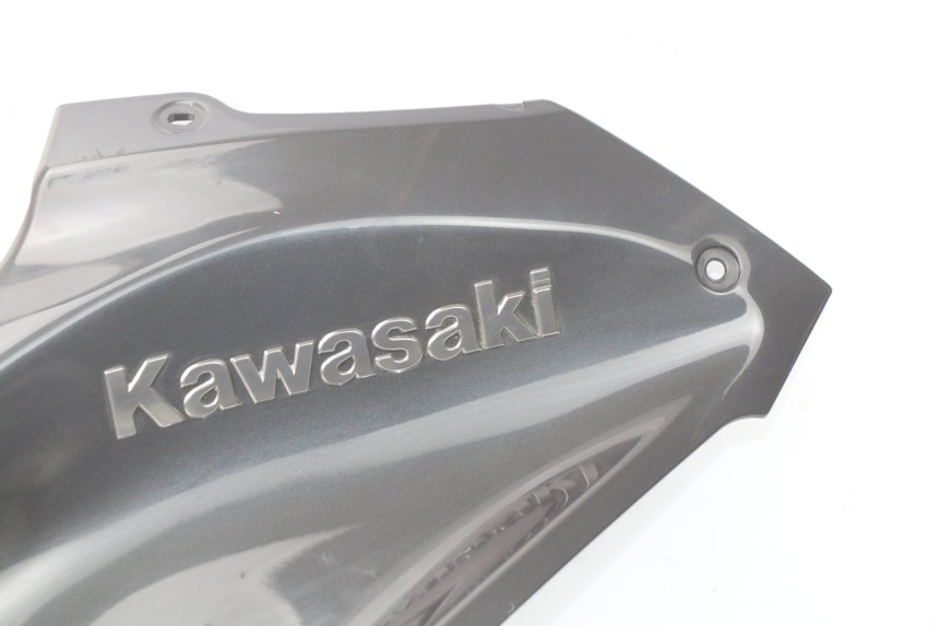 photo de OBUDOWA ZBIORNIKA KAWASAKI Z Z900 900 (2017 - 2019) - Widok profilu