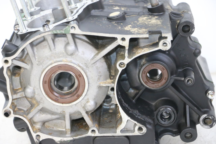 photo de Karter dolny silnika REGAL RAPTOR RAXTER 2 125 (2007 - 2015) - Widok ogólny