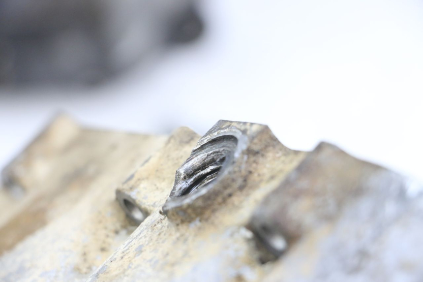 photo de Karter dolny silnika HONDA TRX 300 (1988 - 2000) - Widok z bliska