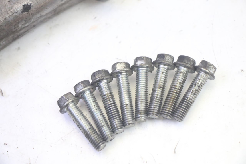 photo de OBUDOWA KOŁA ZAMACHOWEGO SUZUKI BURGMAN EXECUTIVE ABS 650 (2006 - 2012) - Zbliżenie techniczne