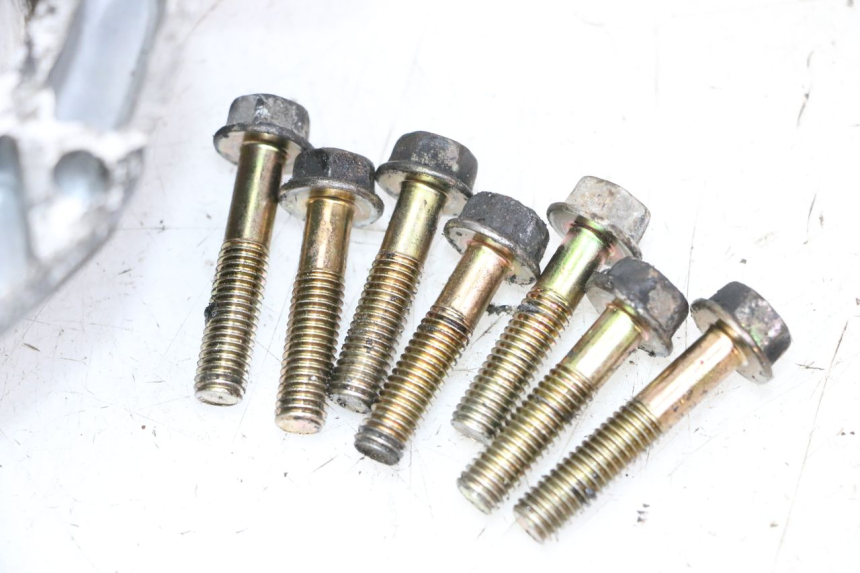 photo de OBUDOWA PRZENIESIENIA NAPĘDU KOŁA KYMCO AGILITY 4T 50 (2005 - 2018) - Stan powierzchni