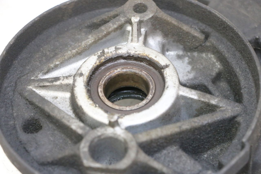 photo de OBUDOWA PRZENIESIENIA NAPĘDU KOŁA HONDA FES S-WING SWING ABS 125 (2007 - 2015) - Zoom stanu zużycia