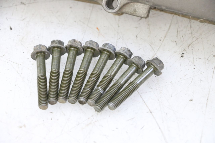 photo de OBUDOWA WARIATORA PGO RODOSHOW 2T 50 (2003 - 2007) - Stan powierzchni