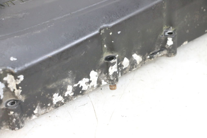 photo de OBUDOWA WARIATORA DAELIM S1 125 (2007 - 2016) - Widok ogólny