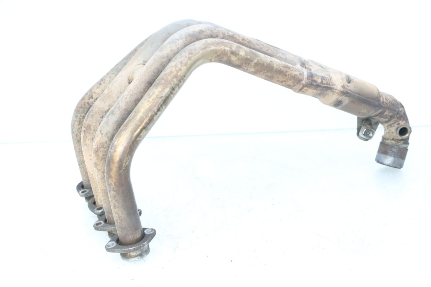 photo de KOLEKTOR YAMAHA FZ6 FAZER S2 600 (2007 - 2011) - Widok główny