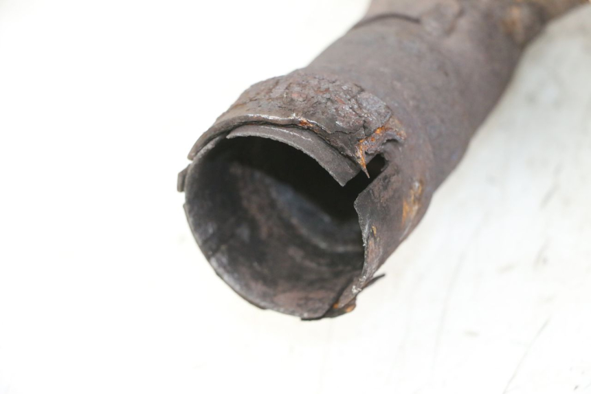 photo de KOLEKTOR SUZUKI SV S 650 (1999 - 2002) - Widok z bliska