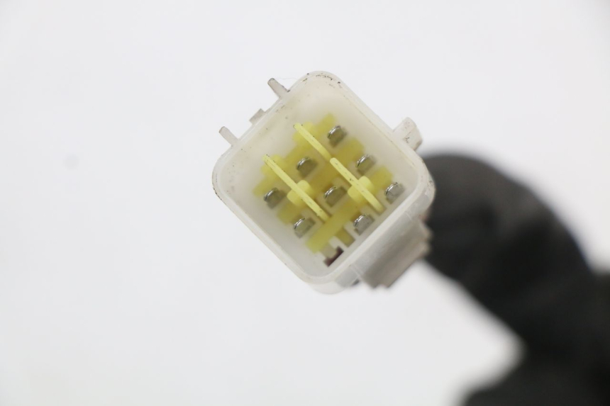 photo de LICZNIK RIDE KALLIO 50 (2010 - 2019) - Stan powierzchni