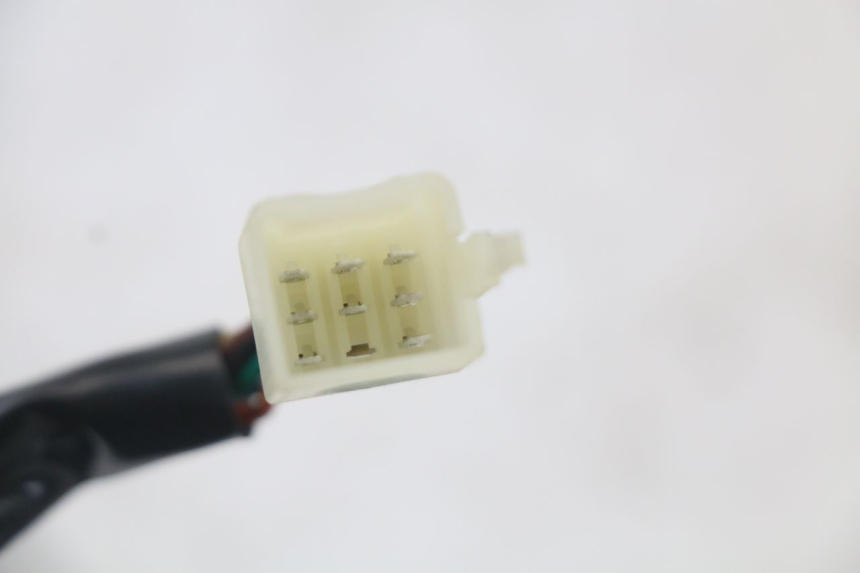 photo de LICZNIK MASH LEGEND'R 4T 50 (2021 - 2025) - Oznaczenia i referencje