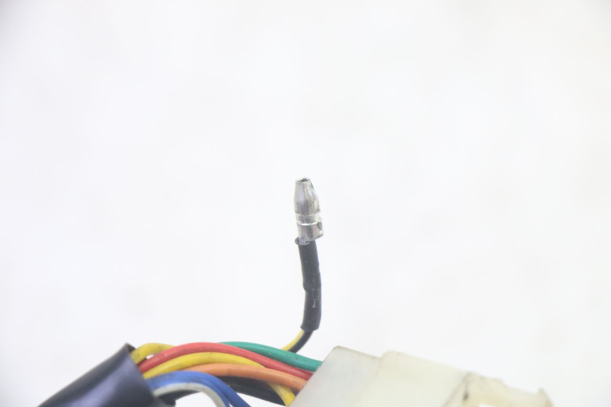 photo de LICZNIK JM MOTORS OLDIES GT 4T 50 (2018 - 2025) - Szczegóły charakterystyczne