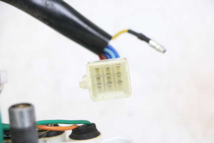 photo de LICZNIK JM MOTORS OLDIES GT 4T 50 (2018 - 2025) - Widok ogólny