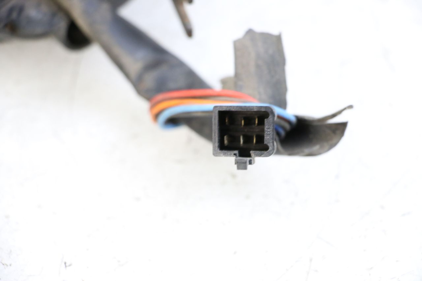 photo de LICZNIK DOLPHIN PYGMY 1 (2020 - 2024) - Część sprawdzona