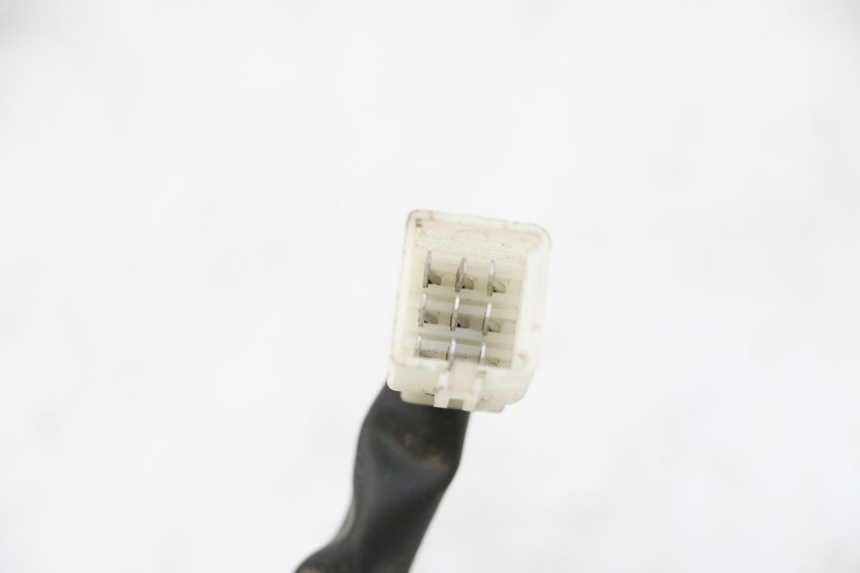 photo de LICZNIK TNT MOTOR ROMA 10' 2T 50 (2011 - 2018) - Widok produktu