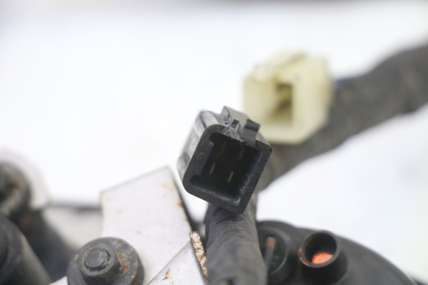 photo de LICZNIK TRIUMPH SPRINT 900 (1995 - 1998) - Szczegóły charakterystyczne