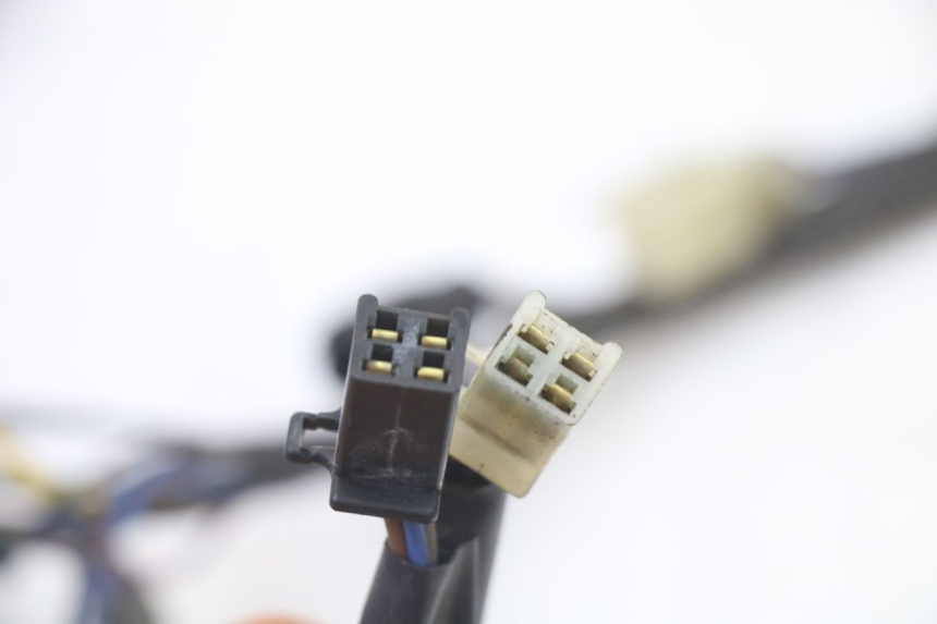 photo de LICZNIK TRIUMPH SPRINT 900 (1995 - 1998) - Oznaczenia i referencje