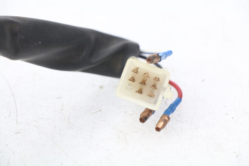 photo de LICZNIK RAZZO STEED 125 (2012 - 2018) - Widok ogólny