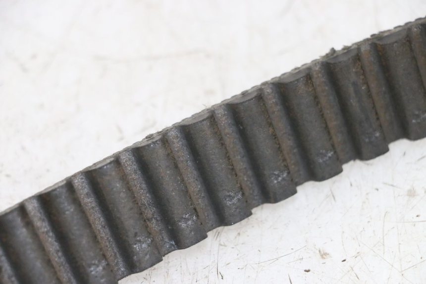 photo de PASEK HARLEY DAVIDSON SPORTSTER XL CUSTOM 1200 (2003 - 2004) - Szczegół części