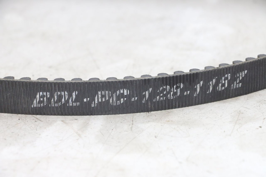 photo de PASEK HARLEY DAVIDSON SPORTSTER XL CUSTOM 1200 (2003 - 2004) - Widok ogólny