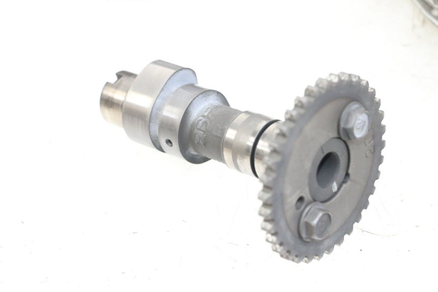 photo de GŁOWICA TYLNA SUZUKI VL INTRUDER 125 (2004 - 2007) - Widok z bliska