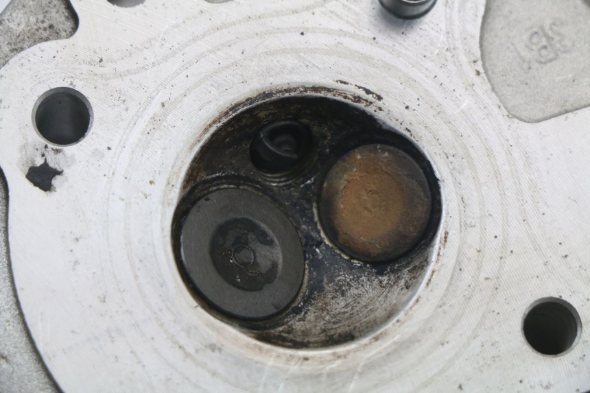 photo de GŁOWICA CYLINDRÓW LONGJIA DIGITA 4T 50 (2019 - 2022) - Alternatywny kąt