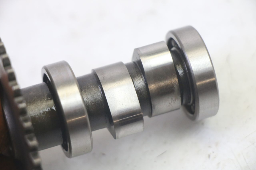 photo de GŁOWICA CYLINDRÓW LONGJIA DIGITA 4T 50 (2019 - 2022) - Zdjęcie dodatkowe