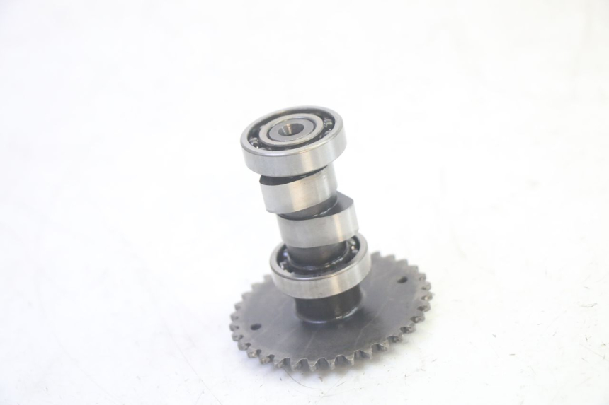 photo de GŁOWICA CYLINDRÓW LONGJIA DIGITA 4T 50 (2019 - 2022) - Kontrola wizualna