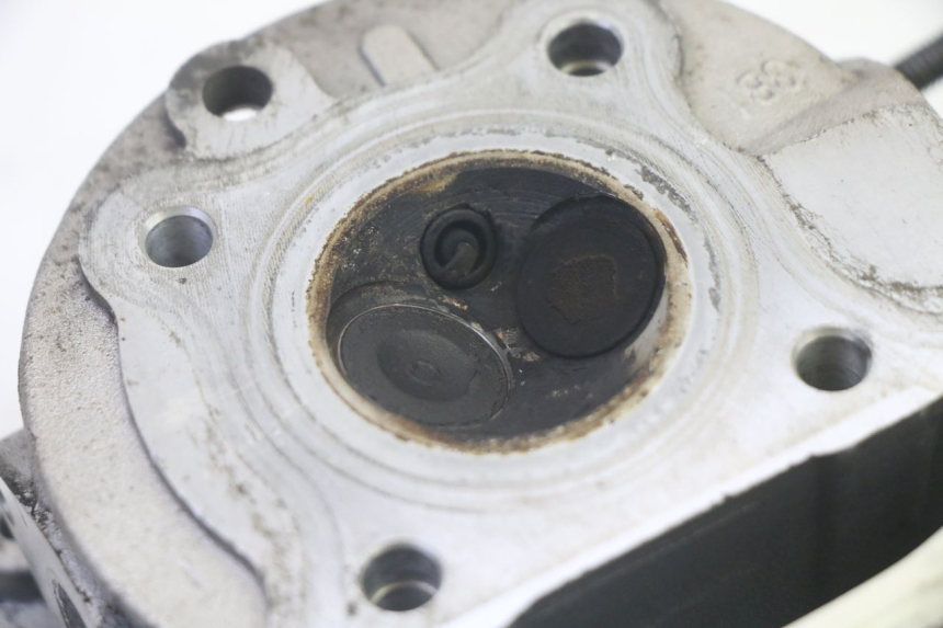 photo de GŁOWICA CYLINDRÓW LONGJIA DIGITA 4T 50 (2019 - 2022) - Zbliżenie techniczne