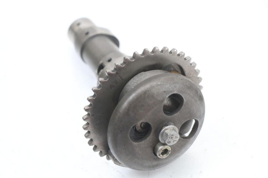 photo de GŁOWICA SILNIKA RENAULT KOURANOS 125 (2001 - 2004) - Zbliżenie techniczne