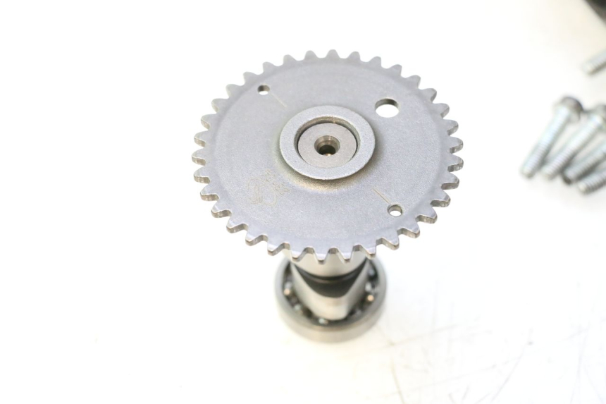 photo de GŁOWICA CYLINDRA JM MOTORS OLDIES 4T 50 (2020 - 2026) - Szczegół części