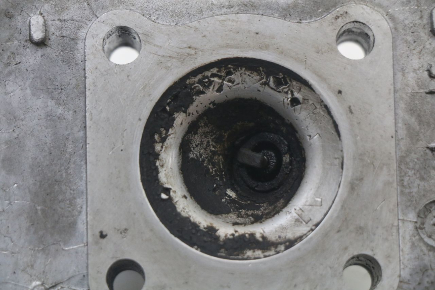 photo de GŁOWICA CYLINDRÓW PEUGEOT LUDIX 50 (2005 - 2007) - Widok ogólny