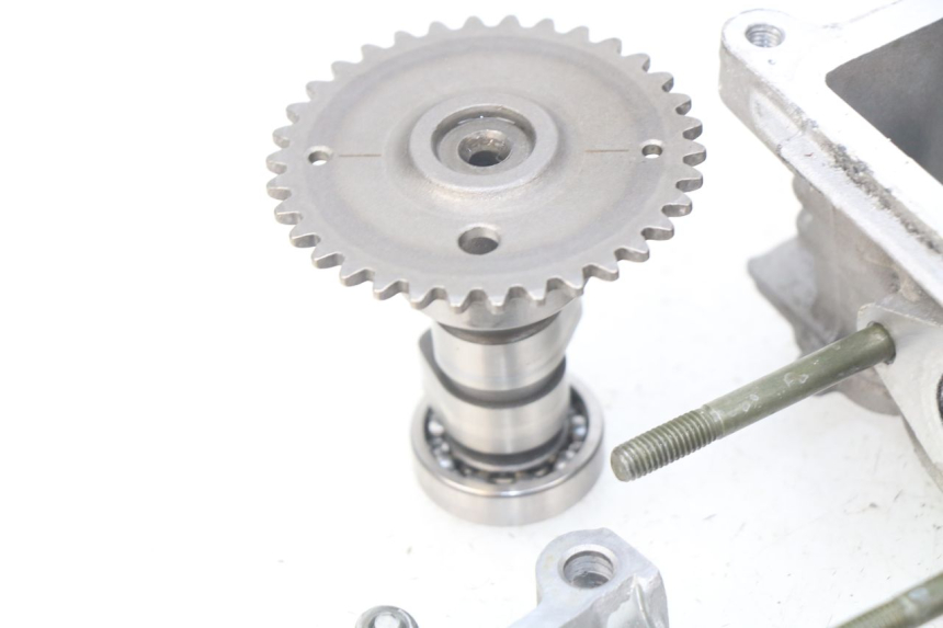 photo de GŁOWICA SILNIKA TNT MOTOR ROMA 10' 4T 50 (2007 - 2018) - Widok produktu