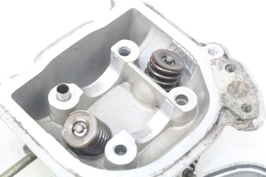 photo de GŁOWICA SILNIKA TNT MOTOR ROMA 10' 4T 50 (2007 - 2018) - Widok z bliska