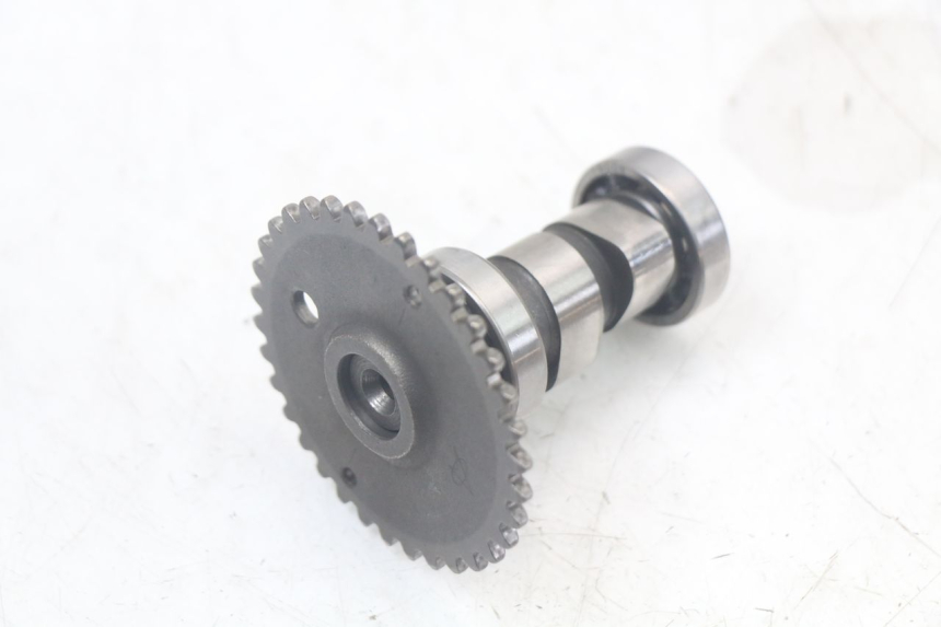 photo de GŁOWICA SILNIKA TNT MOTOR ROMA 10' 4T 50 (2007 - 2018) - Zbliżenie komponentów