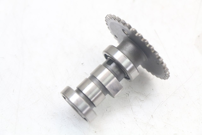 photo de GŁOWICA SILNIKA TNT MOTOR ROMA 10' 4T 50 (2007 - 2018) - Widok z bliska