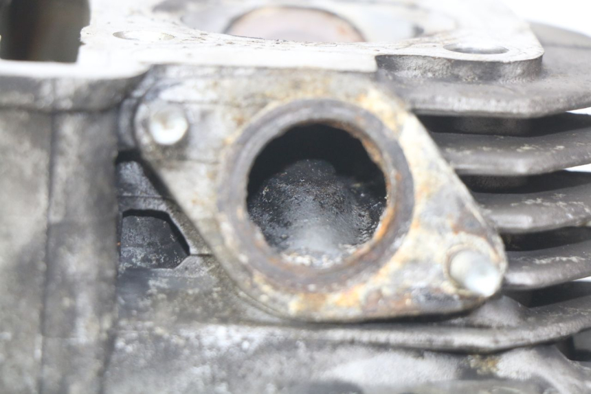 photo de GŁOWICA SILNIKA YAMASAKI YM T 125 (2015 - 2020) - Widok z bliska