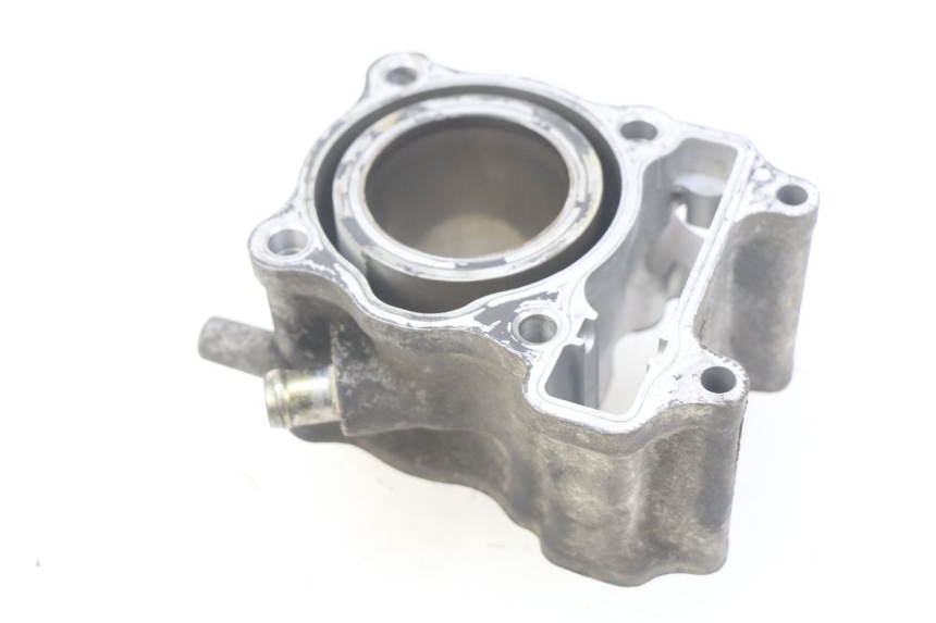 photo de CYLINDER HONDA FES PANTHEON 125 (2003 - 2007) - Widok główny