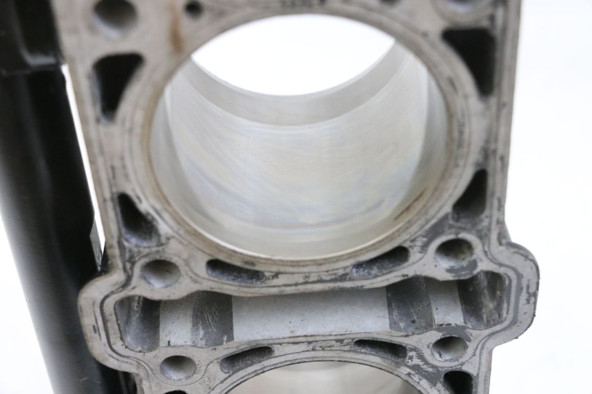 photo de CYLINDER TŁOK MV AGUSTA BRUTALE R WALLY 910 (2008 - 2008) - Widok profilu