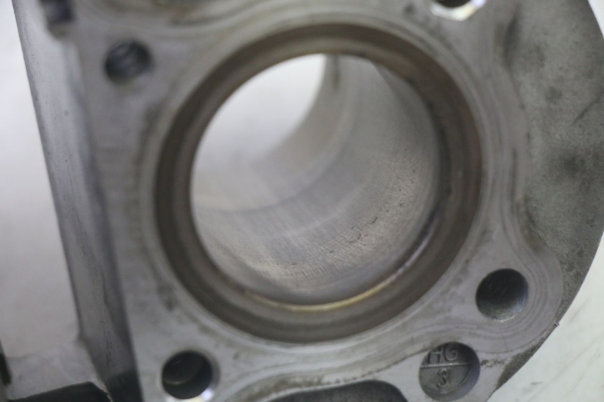 photo de CYLINDER TŁOK LONGJIA DIGITA 4T 50 (2019 - 2022) - Widok produktu