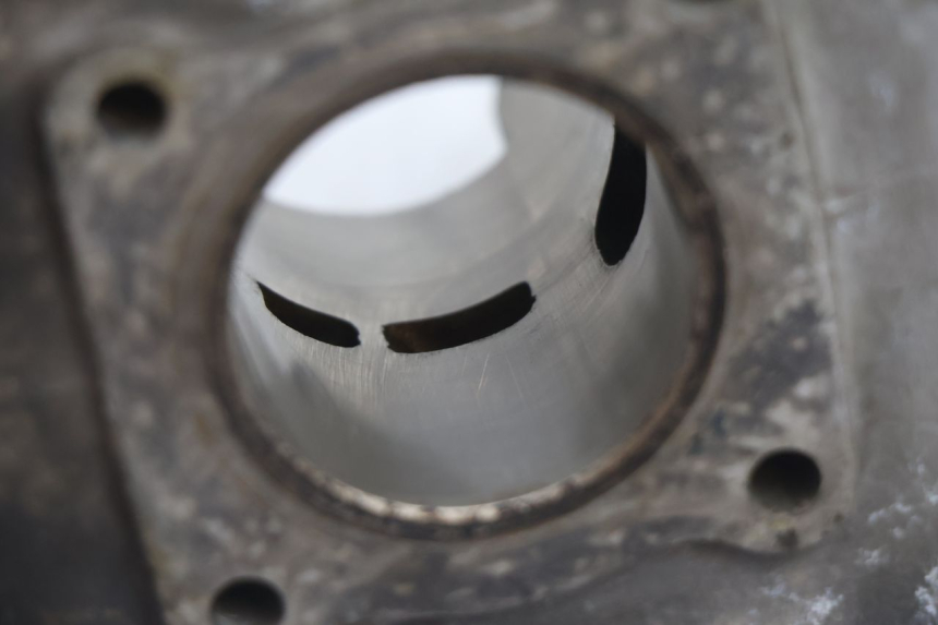 photo de TŁOK CYLINDRA PEUGEOT TREKKER 50 (1995 - 2004) - Widok ogólny