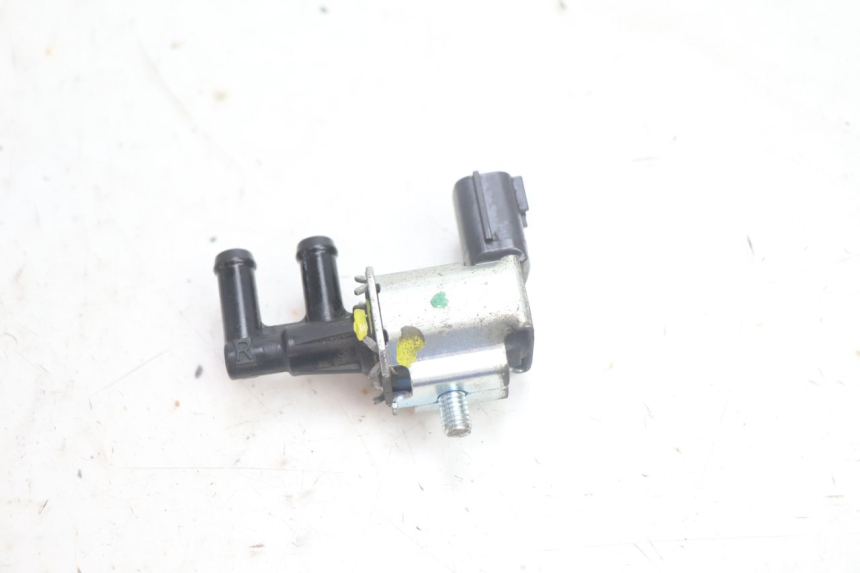 photo de ELEKTROZAWÓR CANISTER PIAGGIO ZIP IGET 4T 50 (2021 - 2023) - Widok główny