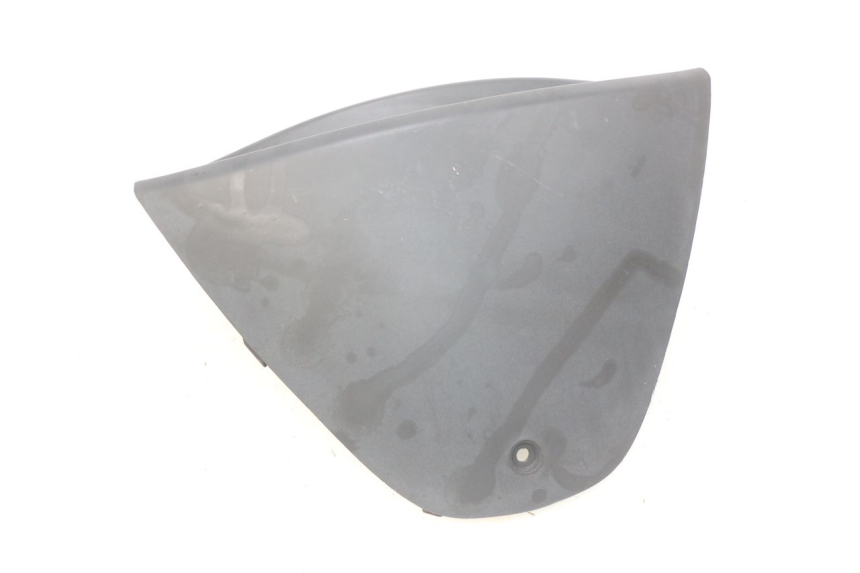 photo de OBUDOWA LICZNIKA PIAGGIO X9 EVOLUTION 250 (2003 - 2007) - Zbliżenie techniczne