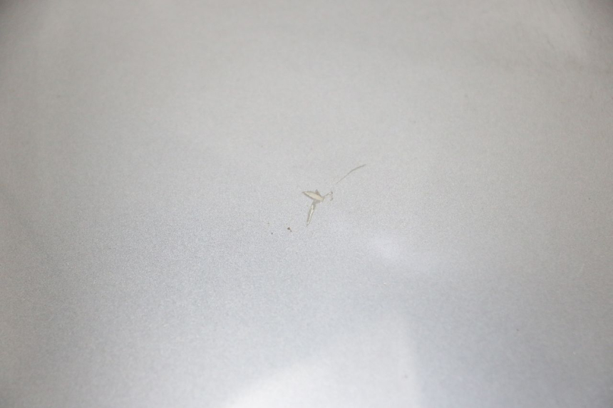 photo de GÓRNA PRZEDNIA MASKOWNICA EFUN PUSA 1 - Stan powierzchni