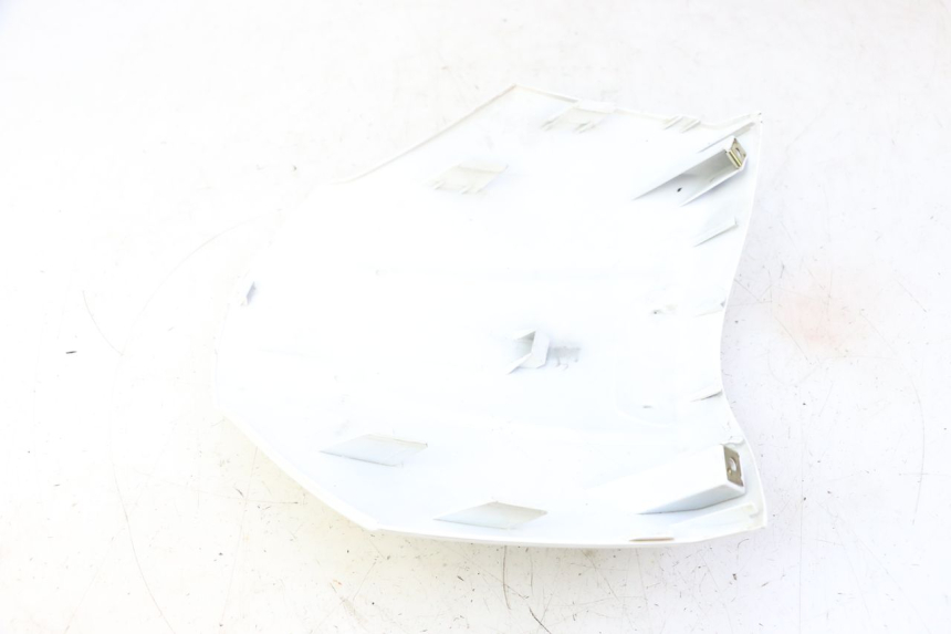 photo de GÓRNA PRZEDNIA MASKOWNICA PEUGEOT TWEET PRO CARGO 50 (2018 - 2022) - Zoom stanu zużycia