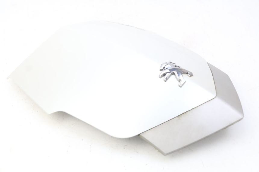 photo de GÓRNA PRZEDNIA MASKOWNICA PEUGEOT VIVACITY NEW 4T 50 (2008 - 2017) - Widok ogólny